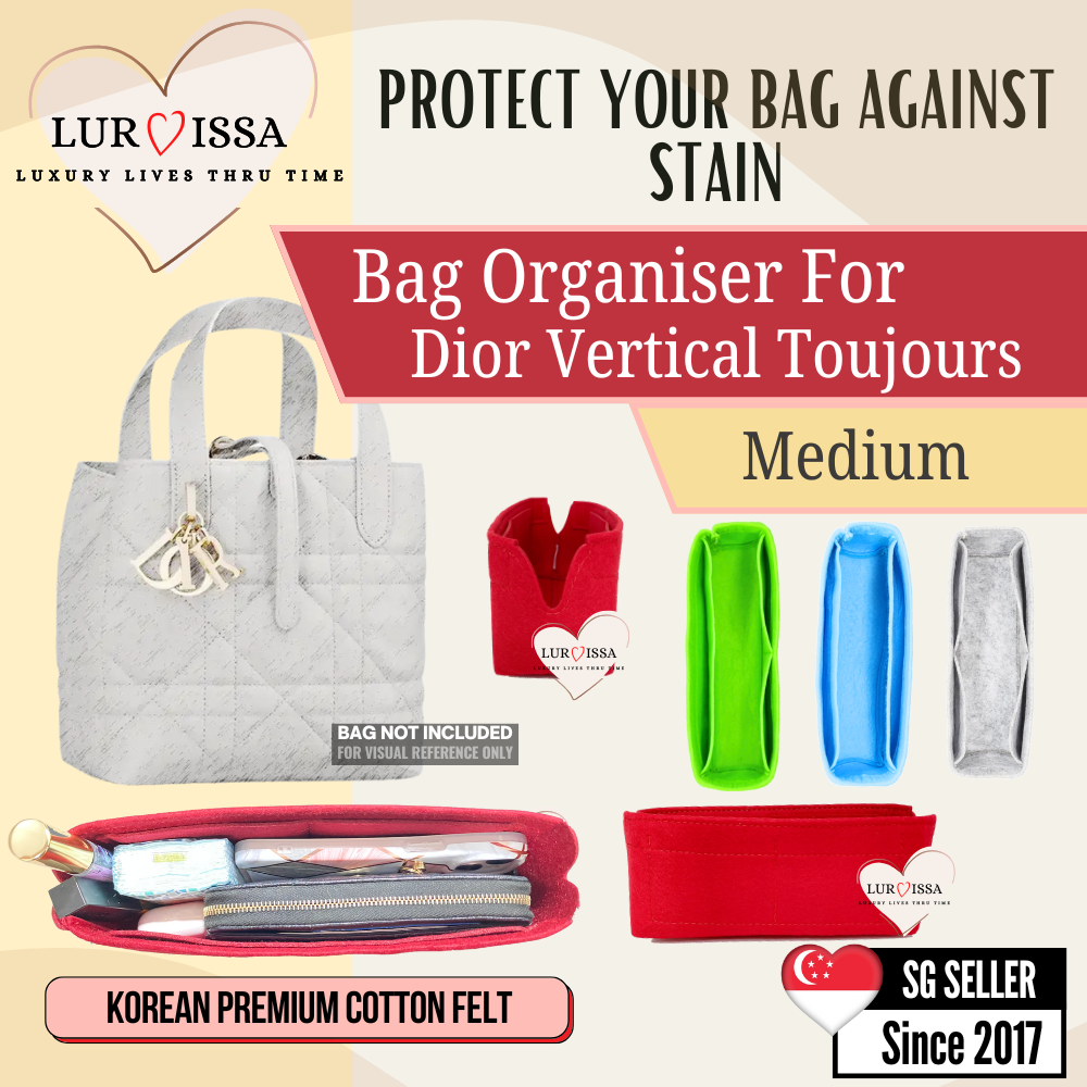 Dior Vertical Toujours Bag Organiser