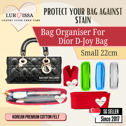 Dior Djoy Bag Organiser (Small)