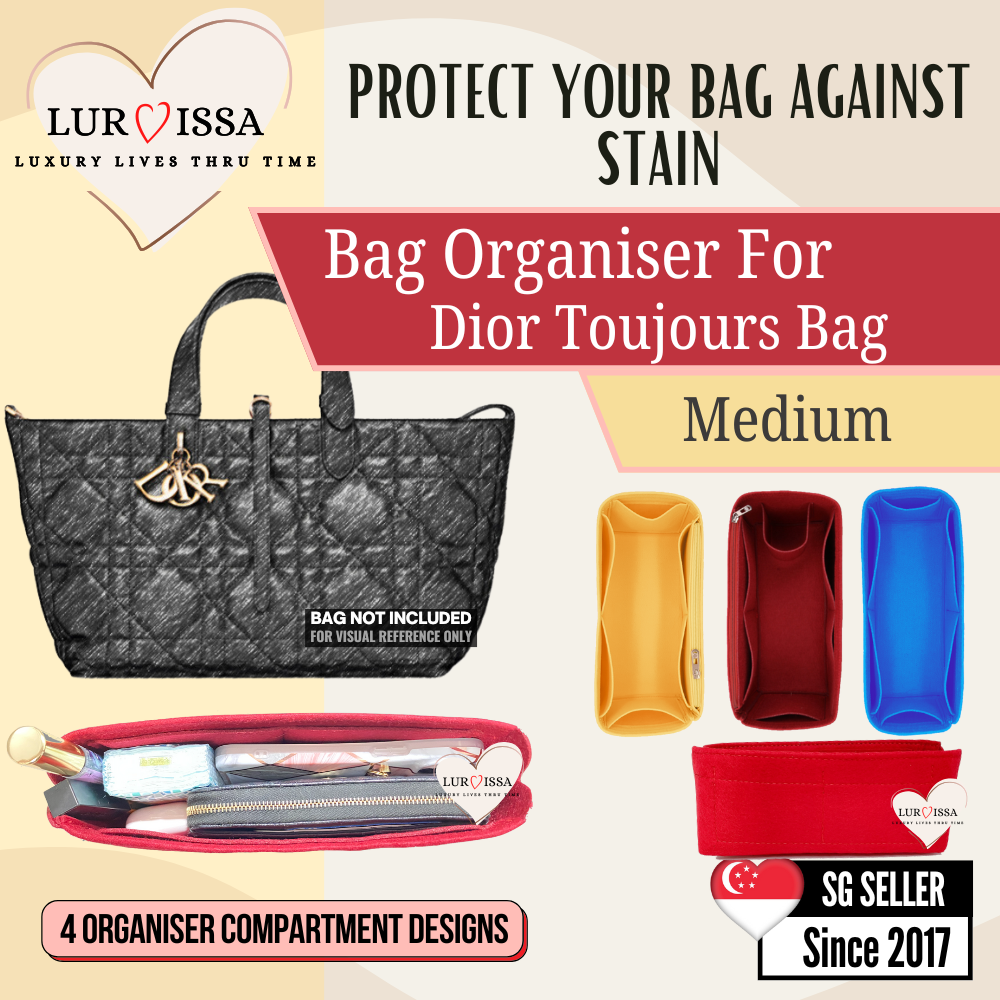 [𝐋𝐮𝐫𝐯𝐢𝐬𝐬𝐚] Bag Organiser/ Organizer For Dior Toujours Bag (Medium)