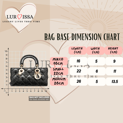 Dior Djoy Bag Organiser (Medium)